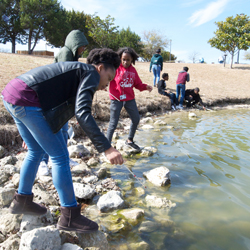 Students collect water samples from the city park for their research. 