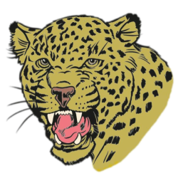  Leopard Icon