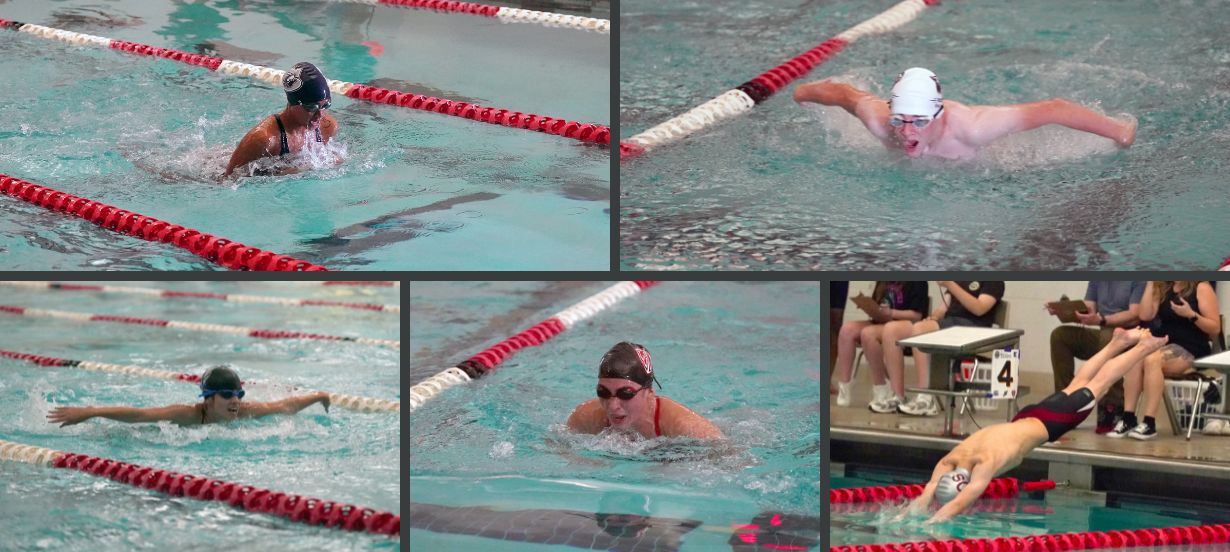  Swimmers in a group graphic