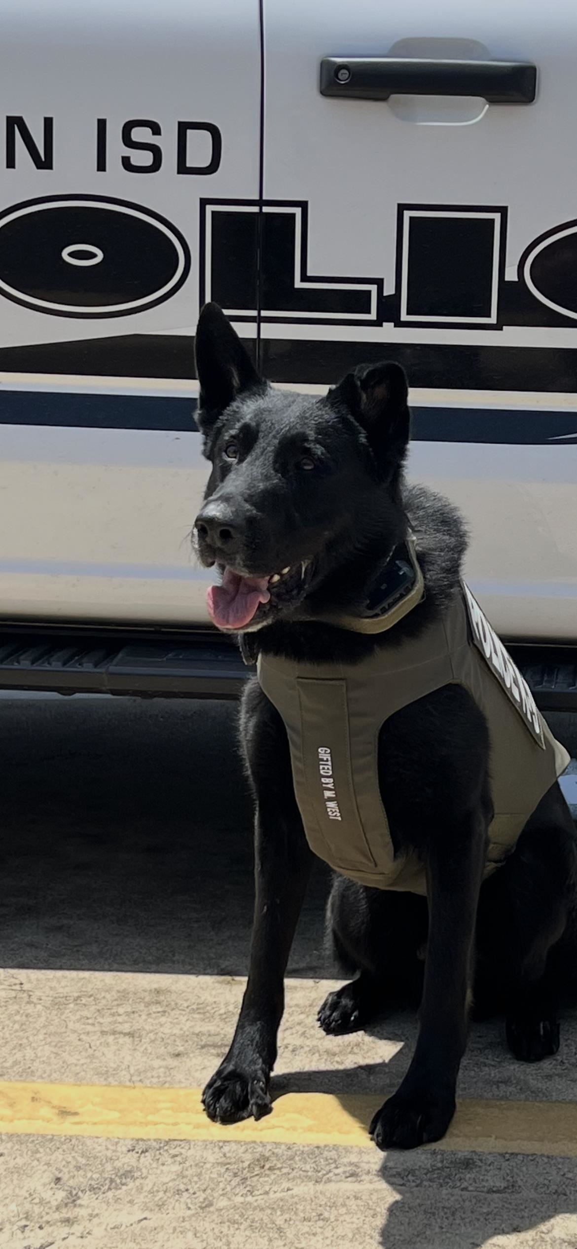 K9 Sauron